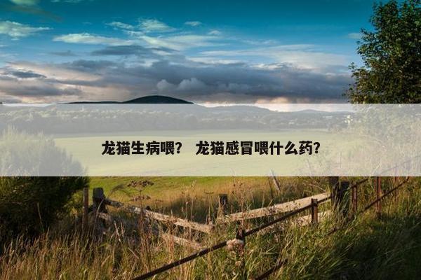 龙猫生病喂？ 龙猫感冒喂什么药？