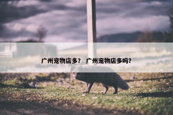广州宠物店多？ 广州宠物店多吗？