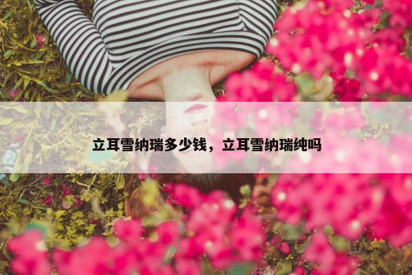 立耳雪纳瑞多少钱，立耳雪纳瑞纯吗