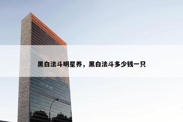 黑白法斗明星养，黑白法斗多少钱一只
