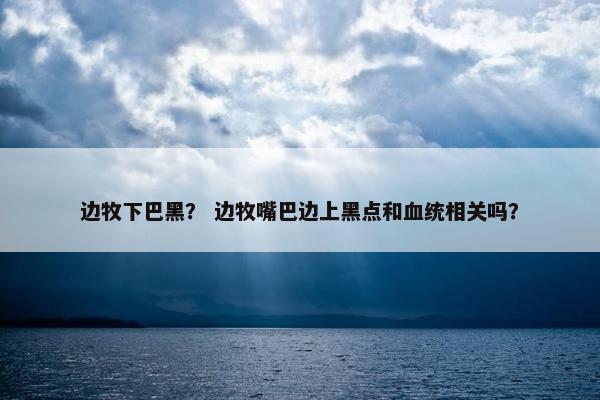 边牧下巴黑？ 边牧嘴巴边上黑点和血统相关吗？