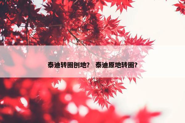 泰迪转圈刨地？ 泰迪原地转圈？