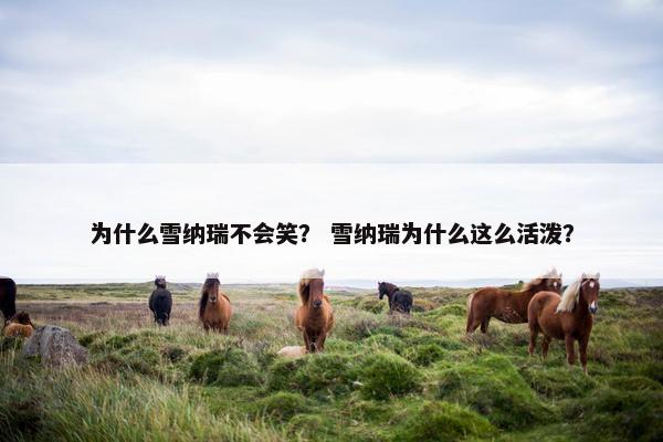 为什么雪纳瑞不会笑？ 雪纳瑞为什么这么活泼？