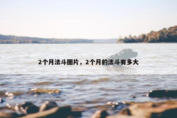 2个月法斗图片，2个月的法斗有多大