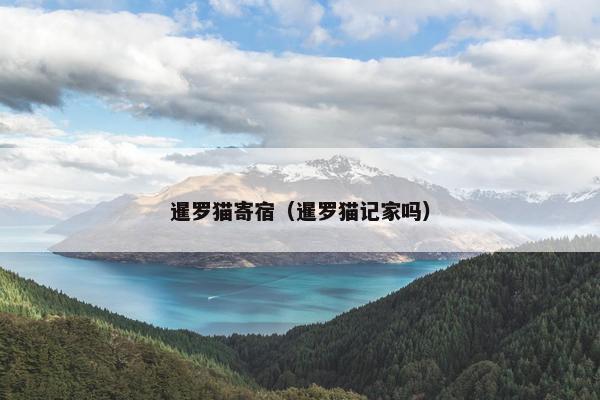 暹罗猫寄宿（暹罗猫记家吗）