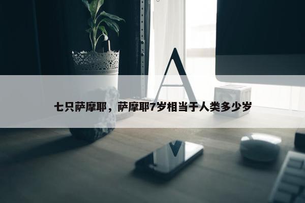 七只萨摩耶，萨摩耶7岁相当于人类多少岁