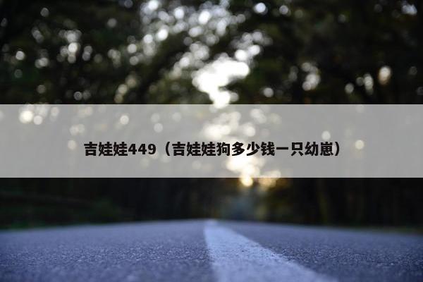 吉娃娃449（吉娃娃狗多少钱一只幼崽）