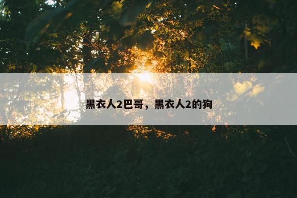 黑衣人2巴哥，黑衣人2的狗