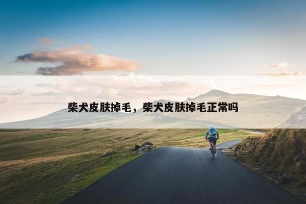 柴犬皮肤掉毛，柴犬皮肤掉毛正常吗
