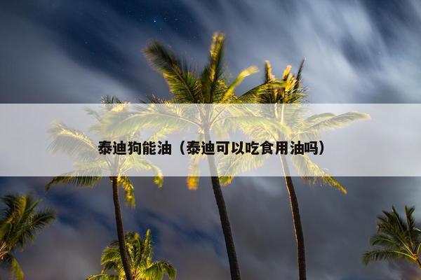 泰迪狗能油（泰迪可以吃食用油吗）
