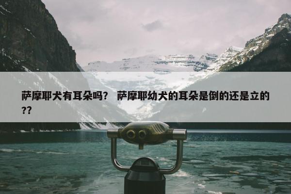 萨摩耶犬有耳朵吗？ 萨摩耶幼犬的耳朵是倒的还是立的?？