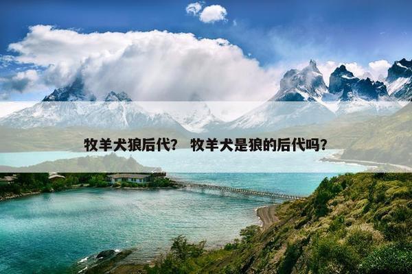 牧羊犬狼后代？ 牧羊犬是狼的后代吗？