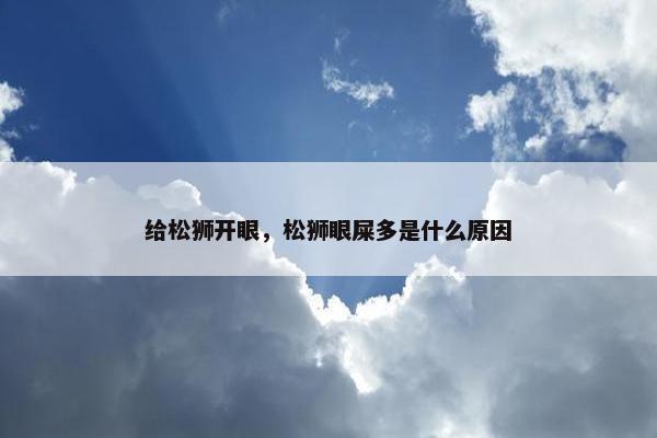 给松狮开眼，松狮眼屎多是什么原因