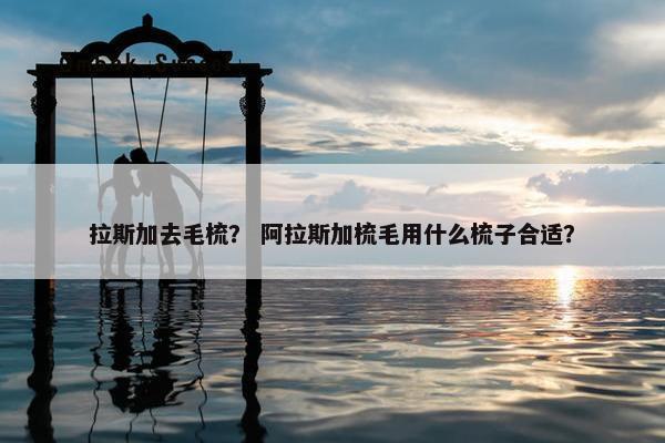 拉斯加去毛梳？ 阿拉斯加梳毛用什么梳子合适？