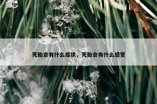 死胎会有什么症状，死胎会有什么感觉