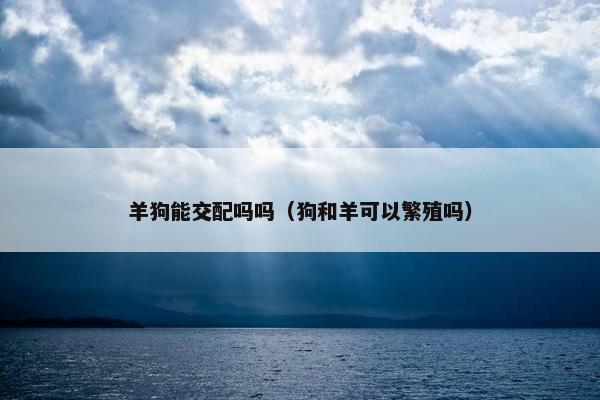 羊狗能交配吗吗（狗和羊可以繁殖吗）