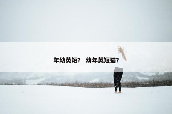 年幼英短？ 幼年英短猫？
