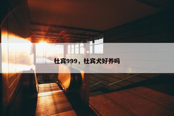 杜宾999，杜宾犬好养吗