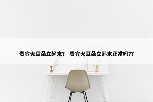 贵宾犬耳朵立起来？ 贵宾犬耳朵立起来正常吗?？