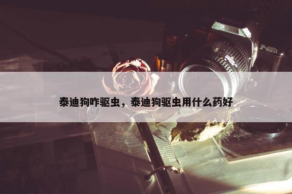 泰迪狗咋驱虫，泰迪狗驱虫用什么药好