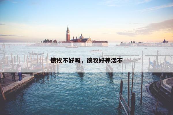 德牧不好吗，德牧好养活不