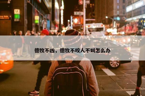 德牧不凶，德牧不咬人不叫怎么办