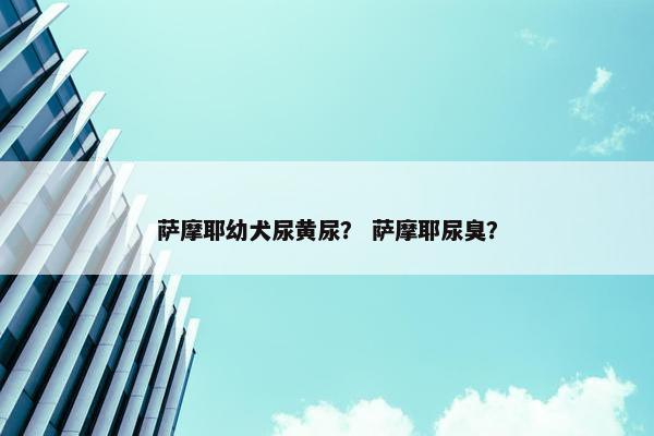 萨摩耶幼犬尿黄尿？ 萨摩耶尿臭？