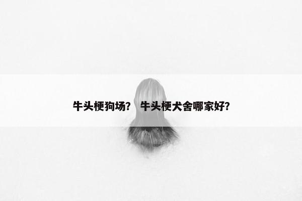 牛头梗狗场？ 牛头梗犬舍哪家好？