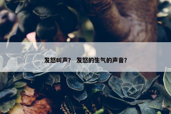 发怒叫声？ 发怒的生气的声音？