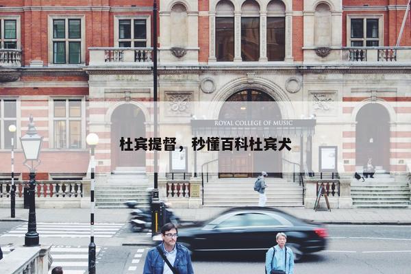 杜宾提督，秒懂百科杜宾犬