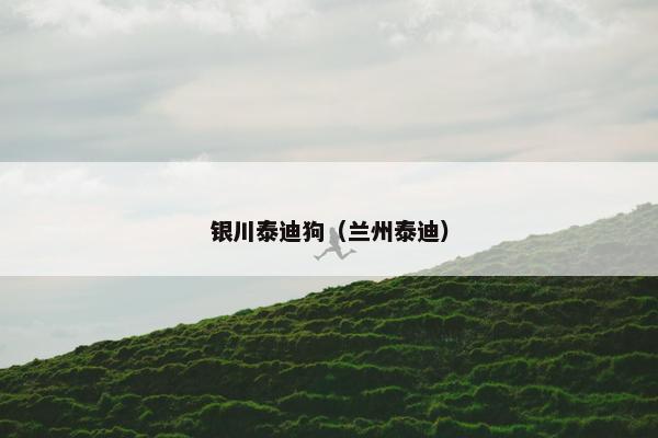 银川泰迪狗（兰州泰迪）