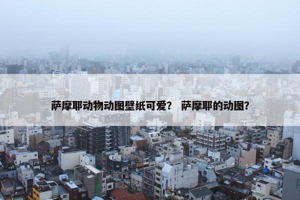 萨摩耶动物动图壁纸可爱？ 萨摩耶的动图？