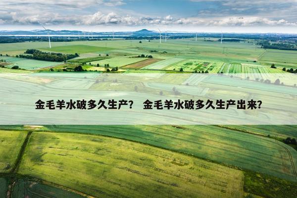 金毛羊水破多久生产？ 金毛羊水破多久生产出来？