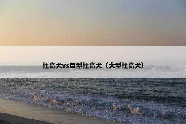 杜高犬vs巨型杜高犬（大型杜高犬）
