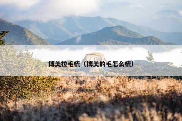 博美拉毛梳（博美的毛怎么梳）