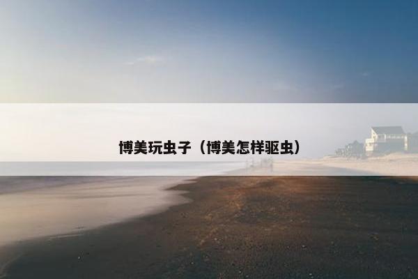 博美玩虫子（博美怎样驱虫）