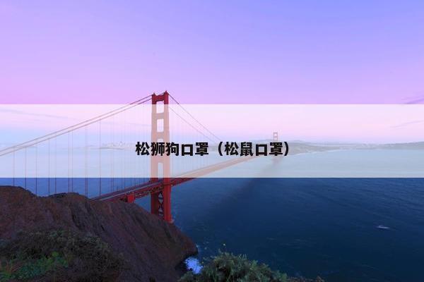 松狮狗口罩（松鼠口罩）