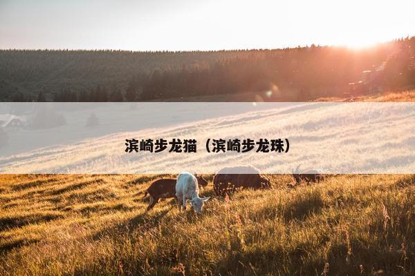 滨崎步龙猫（滨崎步龙珠）