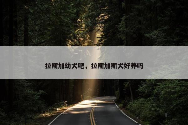 拉斯加幼犬吧，拉斯加斯犬好养吗