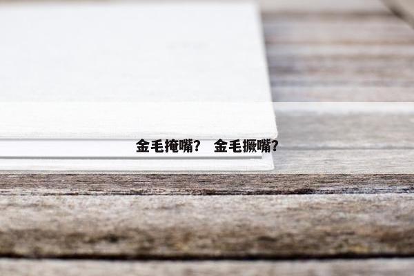 金毛掩嘴？ 金毛撅嘴？
