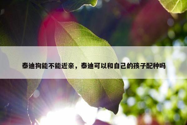 泰迪狗能不能近亲，泰迪可以和自己的孩子配种吗