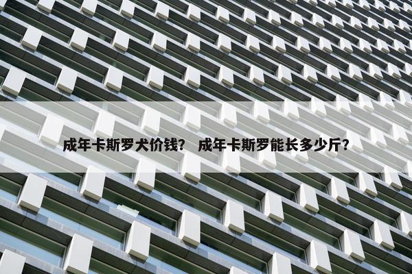 成年卡斯罗犬价钱？ 成年卡斯罗能长多少斤？