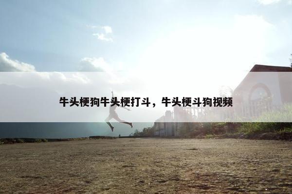 牛头梗狗牛头梗打斗，牛头梗斗狗视频