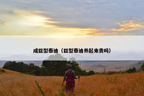 成巨型泰迪（巨型泰迪养起来贵吗）