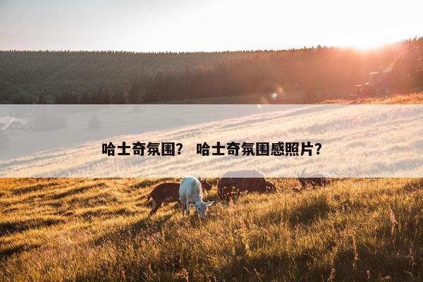 哈士奇氛围？ 哈士奇氛围感照片？