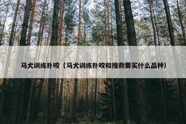马犬训练扑咬（马犬训练扑咬和搜救要买什么品种）
