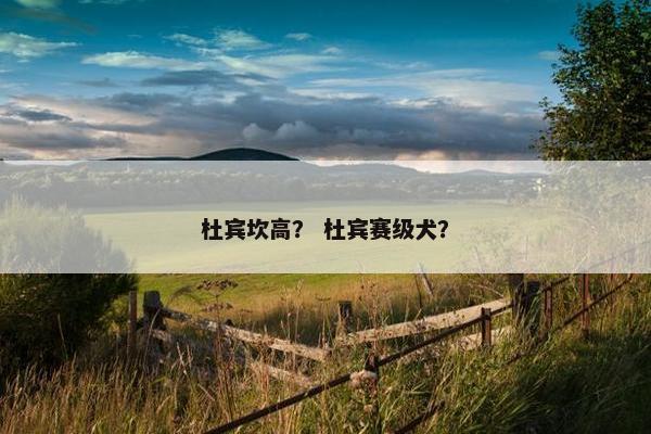 杜宾坎高？ 杜宾赛级犬？