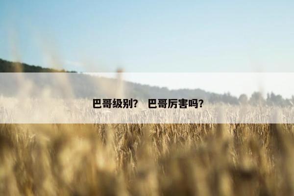 巴哥级别？ 巴哥厉害吗？