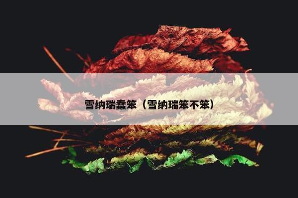 雪纳瑞蠢笨（雪纳瑞笨不笨）