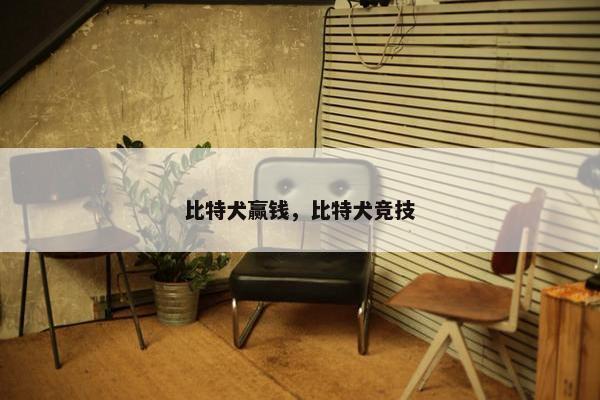 比特犬赢钱，比特犬竞技